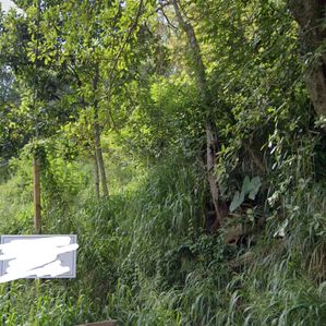 Primrose, Mabel Cooray Road Land Kandy - Image 2