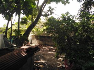 Land for Sale in Katunayake for sale
