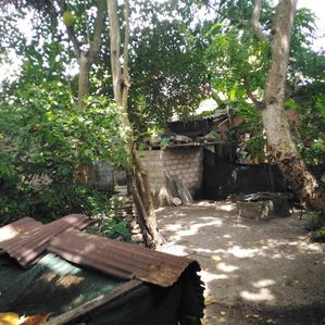 Land for Sale in Katunayake - Image 2