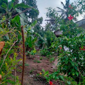 land for sale in Negombo - Image 4