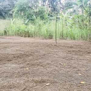 බිම් කොටසක් වෑබඩින් - Image 3
