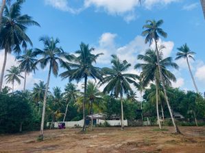 Land for Sale in Denipitiya Matara