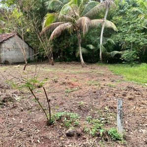 Land for Sale in Negombo-Kochchikade Town - Image 2