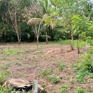 Land for Sale in Negombo-Kochchikade Town - Image 3