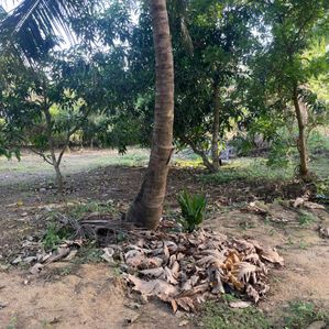 Land for Sale in Tissamaharama - Image 3
