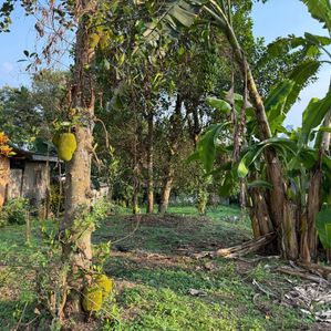 Prime Land for Sale in Gothatuwa, Rajagiriya - Image 2