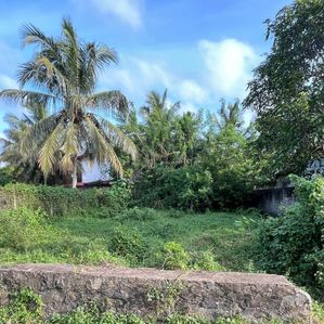 land for sale kandana - Image 2
