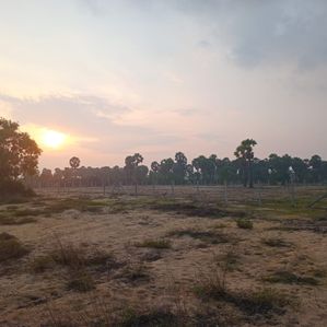 Land for Sale in Batticaloa - Mylampavely