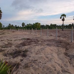 Land for Sale in Batticaloa - Mylampavely - Image 3
