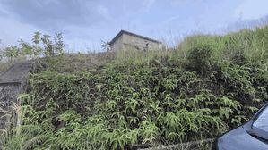 Land for sale in Thalagaha
