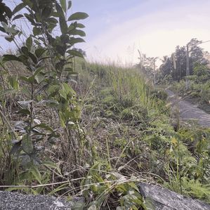 Land for sale in Thalagaha - Image 2