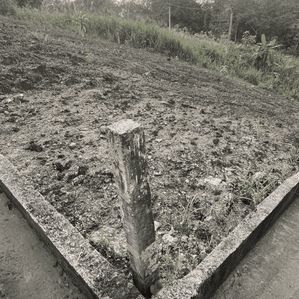 Land for sale in Thalagaha - Image 4