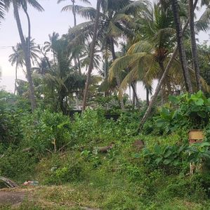 Commercial Land for Sale in Wadduwa - Image 2