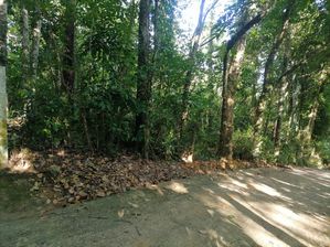Prime 170 Perches Land for Sale in Tuttiripitiya, Mawanella