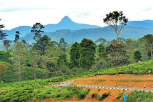 Land Plot for Sale in Hatton