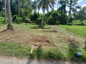 Land for sale in Daluwakotuwa Negombo