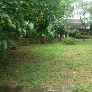 Land for Sale in Kesbawa - Image 2