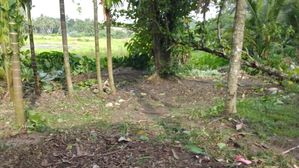Land Facing Scenic Paddy Field Athurugiriya