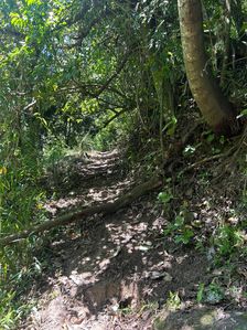 47 Acres. super Land For Sale in Mandaram Nuwara Eliya