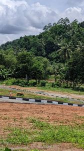 හයිලෙවල් පාර මීපෙ හන්දියට 1km දුරින් ඉඩමක්