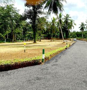 Several Valuable Land Plots For Sale in Padukka Waga