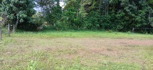 Land for Sale in Gampaha Miriswatta Wathuregama Road