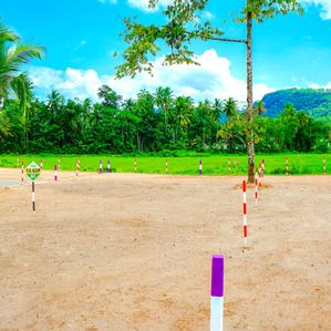 Prime land in Warakapola - TR 310 - Image 2