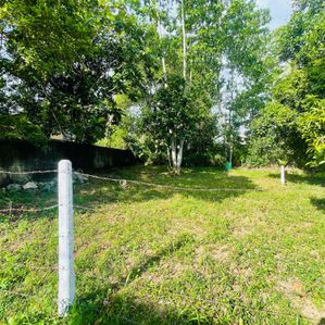 Piliyandala By Pass Road - 8 Perch Lands for Sale - Image 2