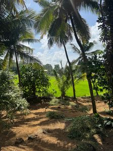 Land for Sale in Homagama