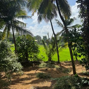 Land for Sale in Homagama - Image 2