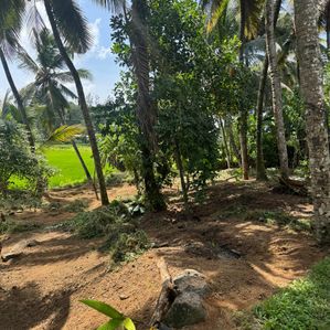 Land for Sale in Homagama - Image 3