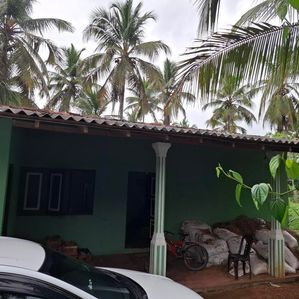 Coconut Land For Sale In Kurunegala - Image 3