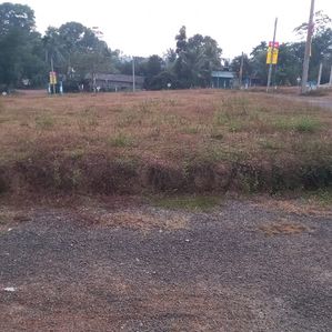 Valuable Land for Sale in Bandaragama - Image 2
