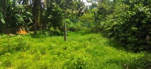 Nawinna Prime Location 20 Perches With Two Houses For Sale