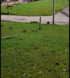 Nuwara Eliya City Limit Land with Clear Deeds