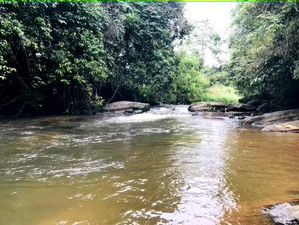 Handapangoda නගරයෙන් සුන්දර බිම්කොටස්