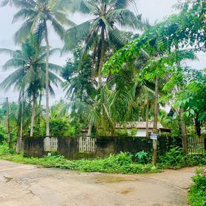 හොරණ පර්චස් 17 ඉඩමක් විකිණීමට - Image 2