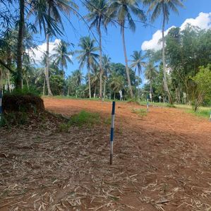 Land for Sale Ibulgasdeniya - Image 3