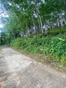 Rubber Land for Sale Warakapola