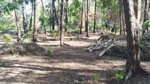 ⭕ (NL121) 7.5 Acres Land For Sale in Pasikuda