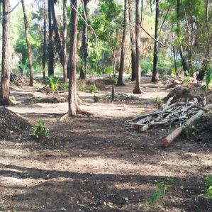 ⭕ (NL121) 7.5 Acres Land For Sale in Pasikuda - Image 2