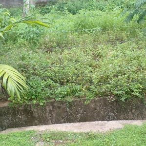 Land for Sale in Athurugereya - Image 2