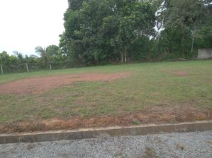 හෝමාගමින් අඩුමිලට ඉඩම්