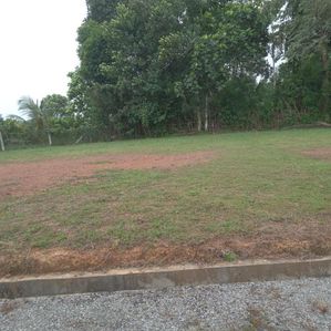 හෝමාගමින් අඩුමිලට ඉඩම් - Image 2