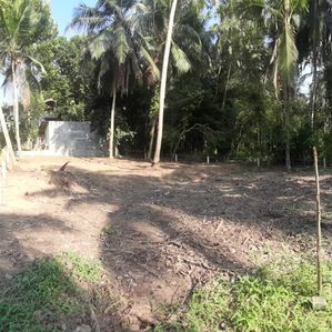 Residential 16 Perch Land for Sale in Pilliyandala - Image 2