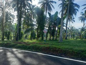 හෝමාගම තලගල බිම් කොටස් විකිණීමට