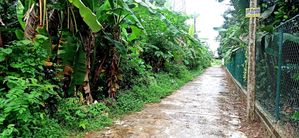 Land for sale in Pahala Mapitigama Malwana