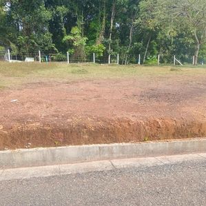 ගෝනපොල 120 බස් පාරට ආසන්නයේන් වටිනා ඉඩමක් අඩුම අඩු මිලට - Image 2