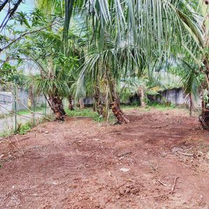 පර්.10 ක වටිනා ඉඩම කොට්ටාවෙන් විකිණීමට(AP H78w2O) - Image 3