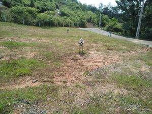Aturugiriya Land for Sale